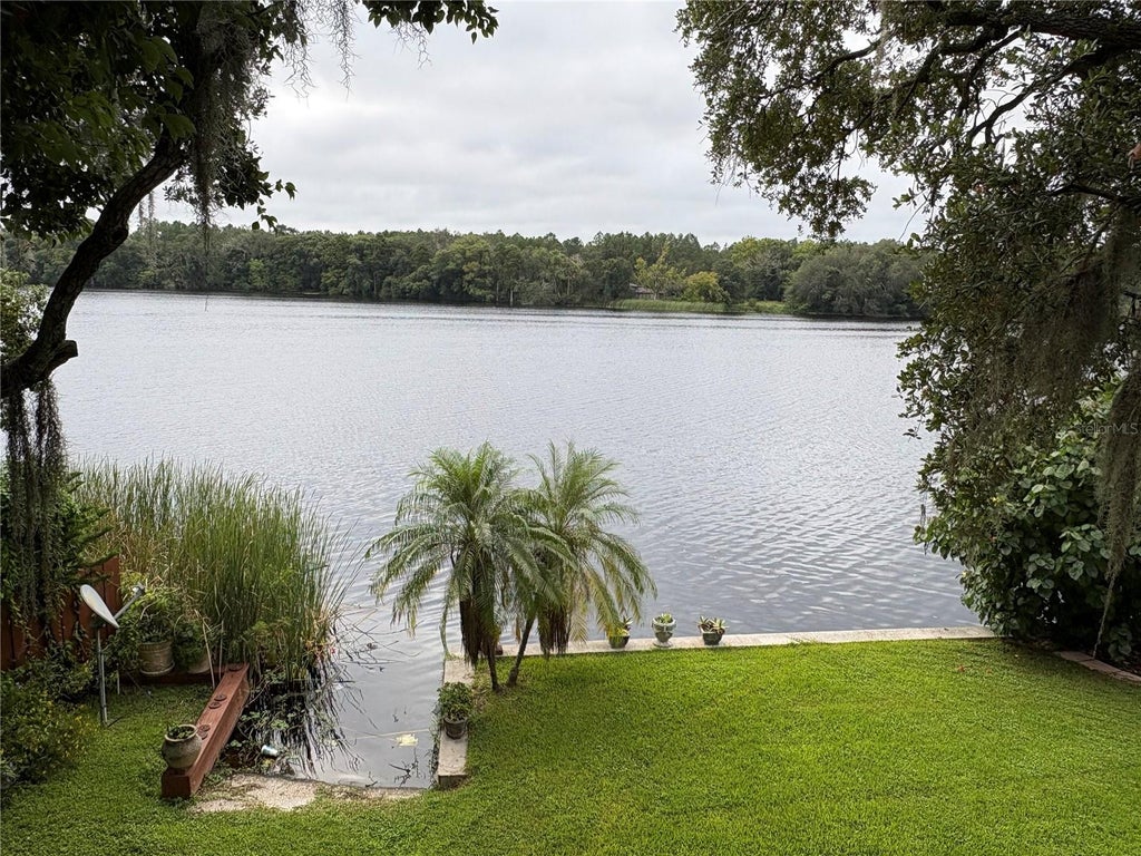 Photo of 4223 E Riverhills Drive, Tampa, FL 33617 (MLS # TB8552469)