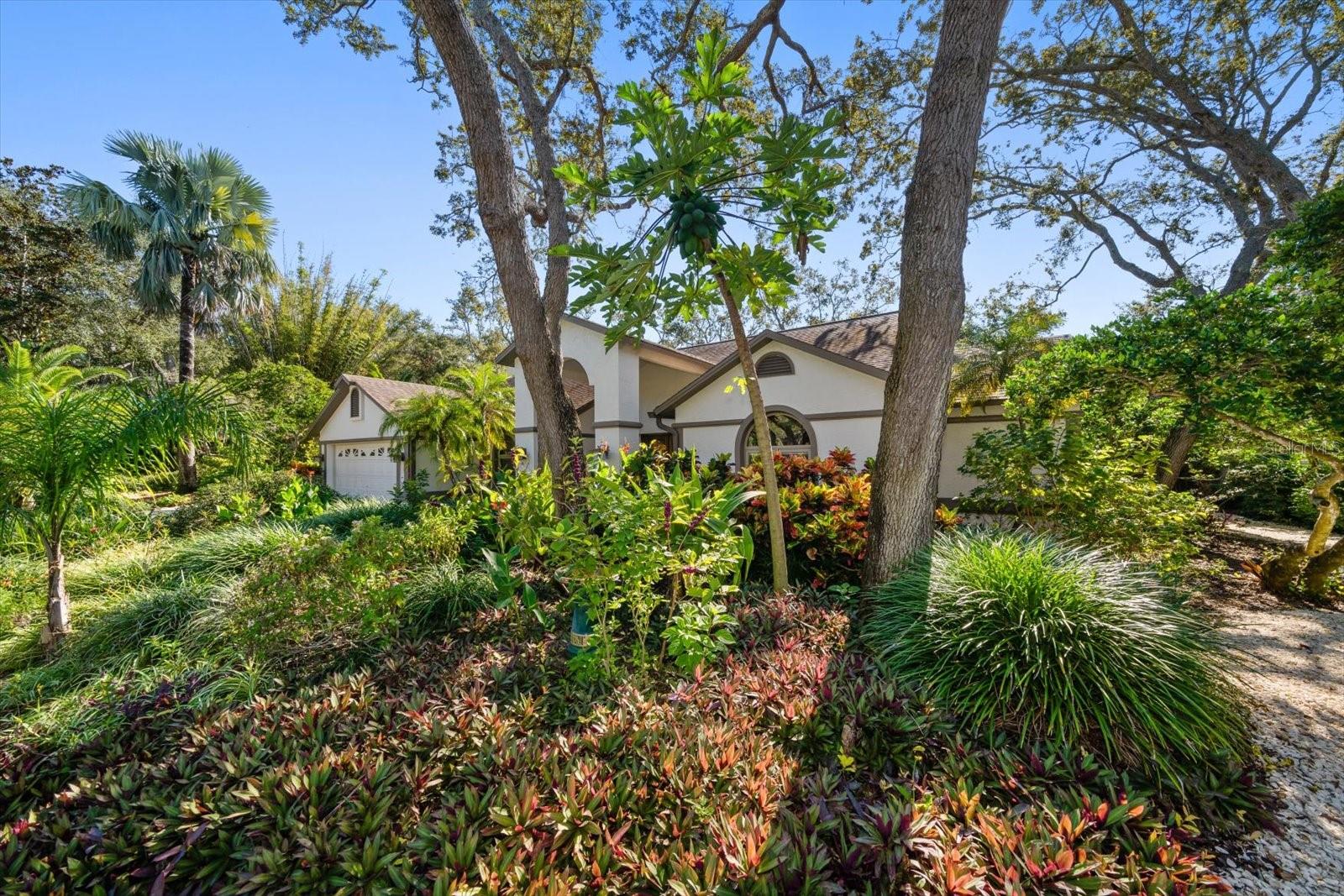 COUNTRY WOODS - Residential