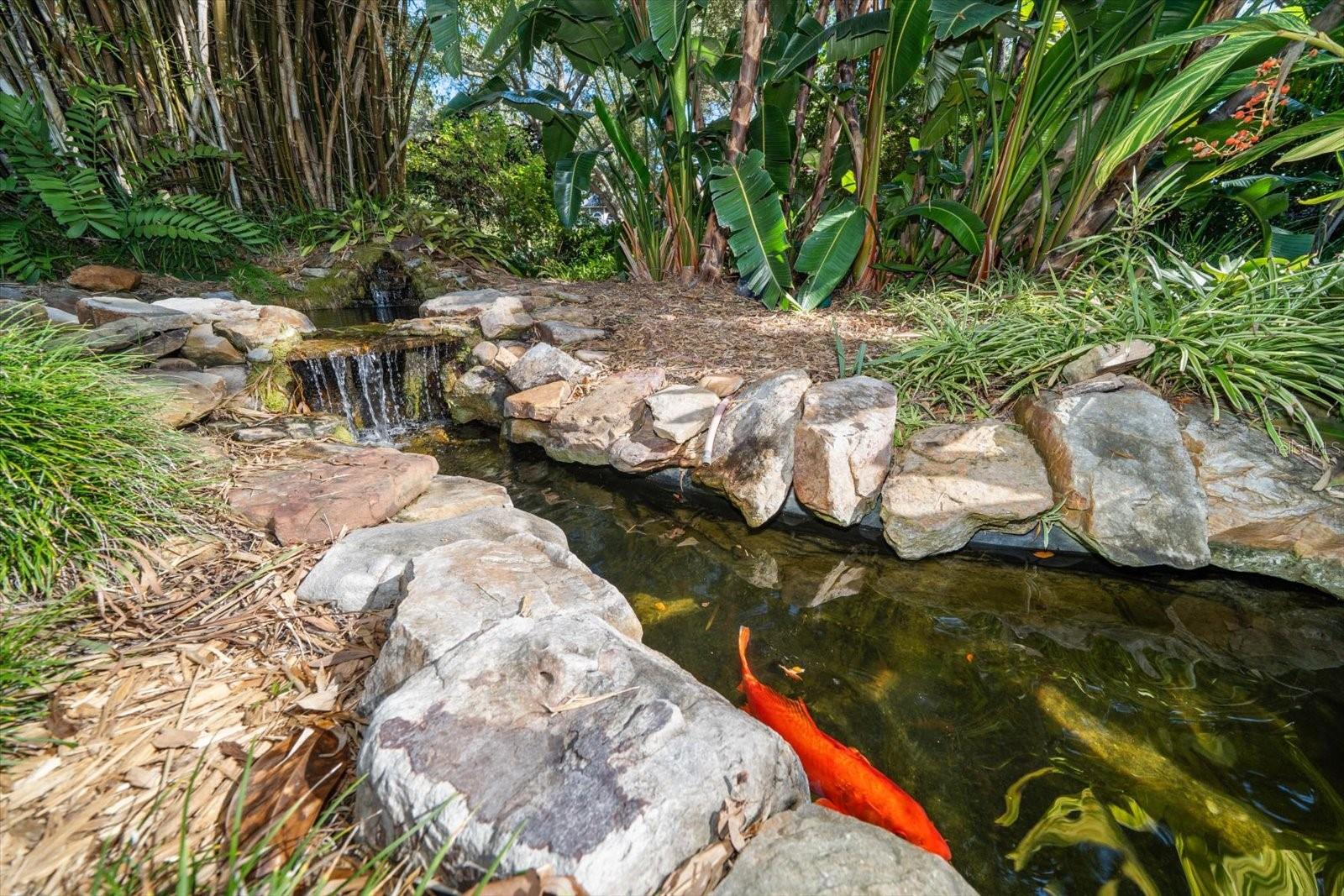 COUNTRY WOODS - Residential