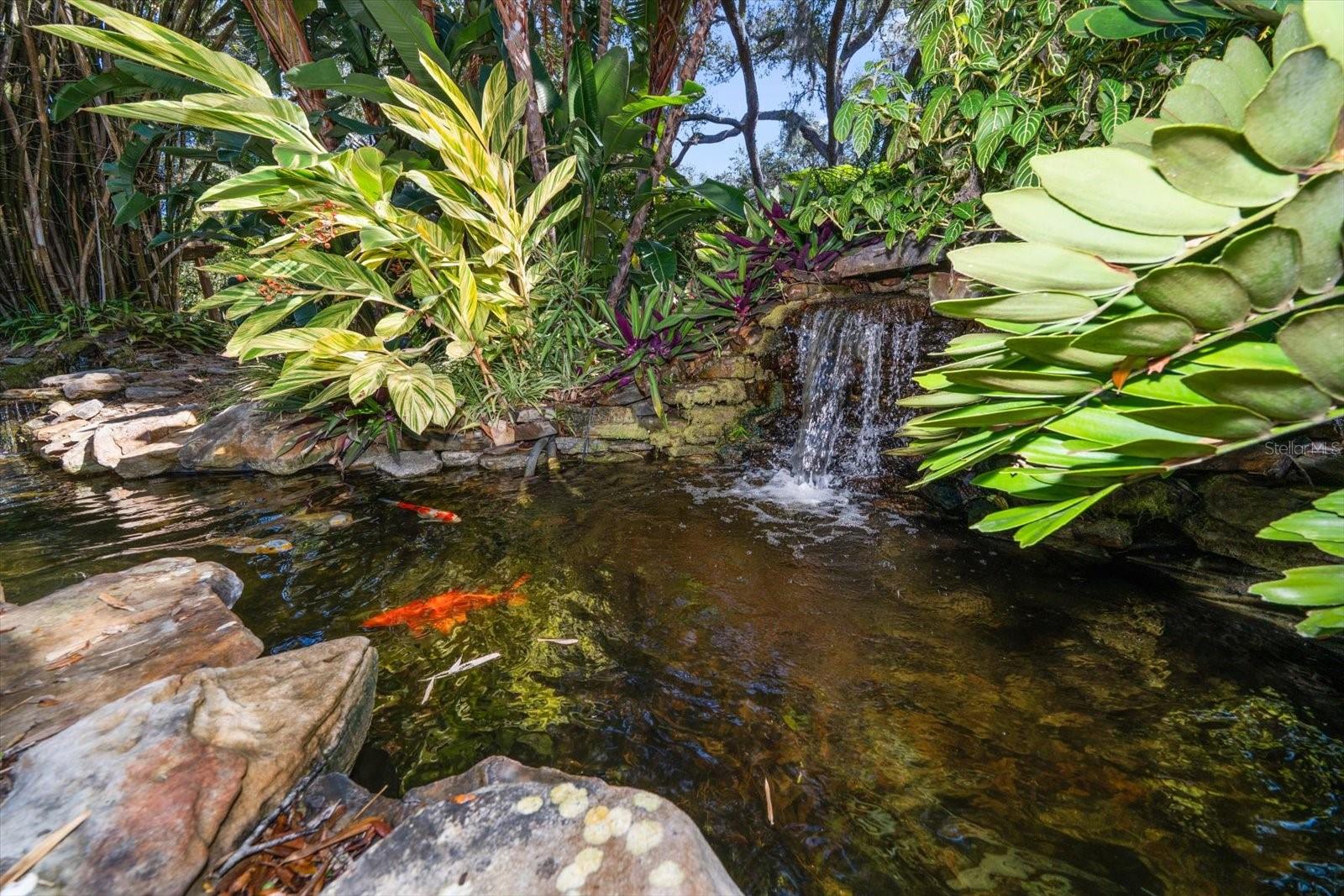 COUNTRY WOODS - Residential