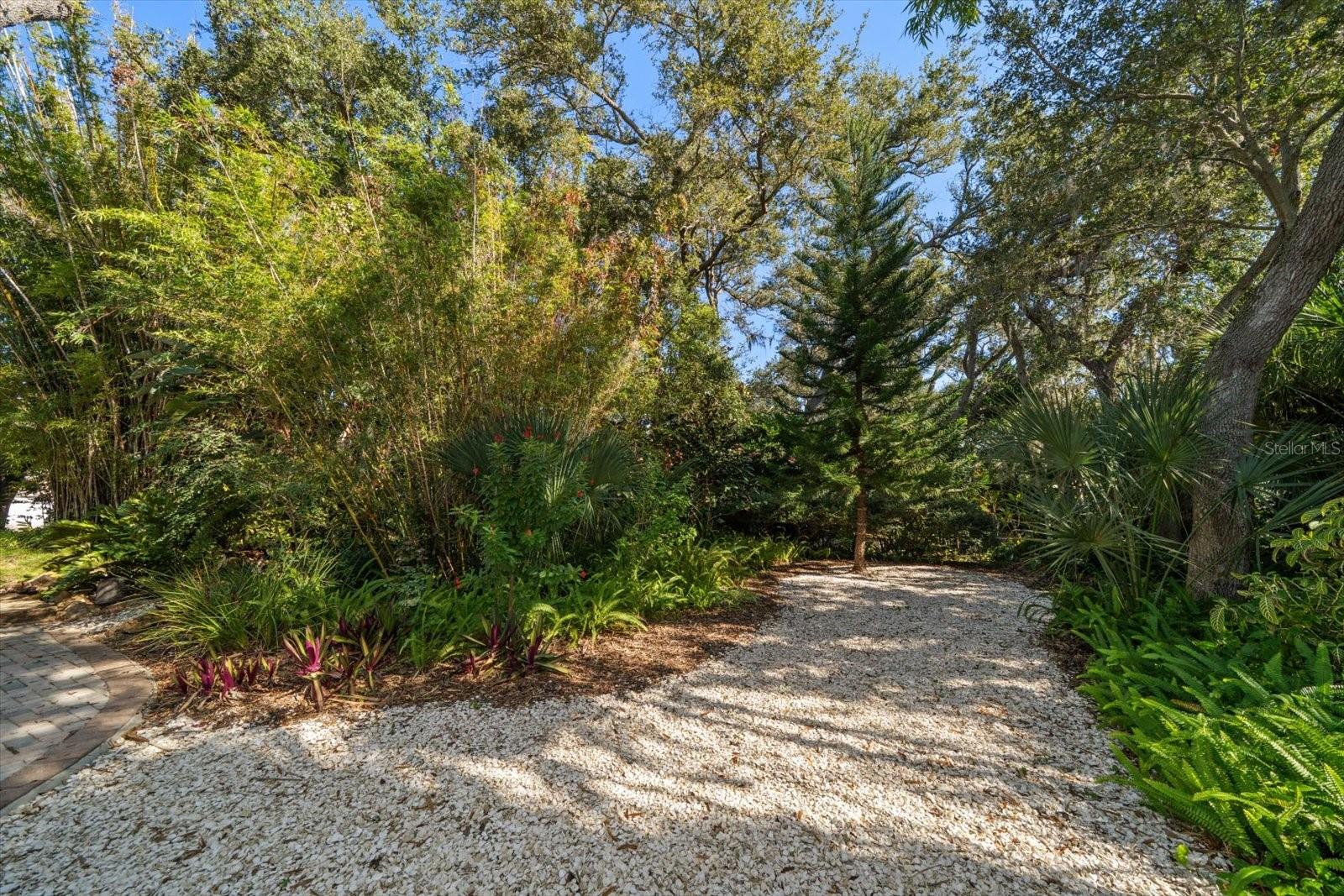 COUNTRY WOODS - Residential