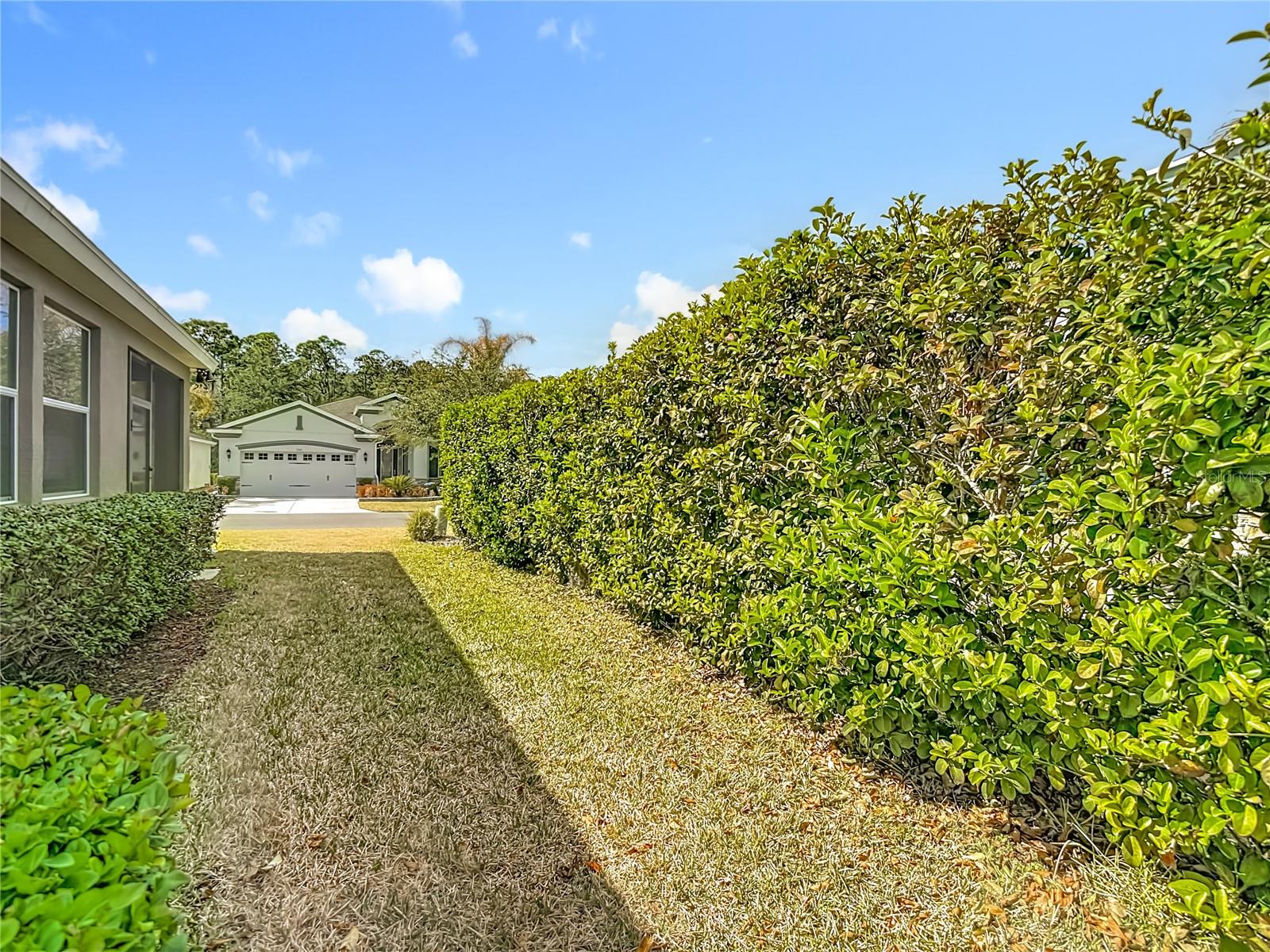 TAMPA BAY GOLF AND TENNIS CLUB - Residential