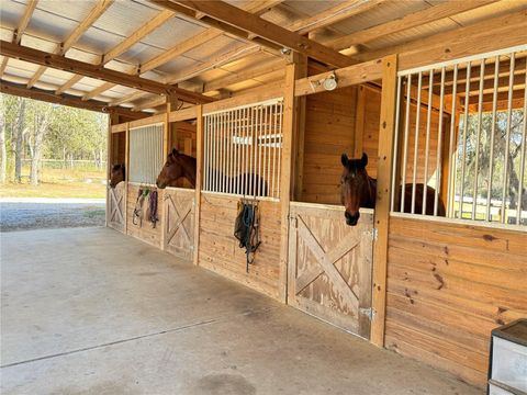 Tiny photo for 4911 N Valley Terrace, Beverly Hills, FL 34465 (MLS # OM720340)