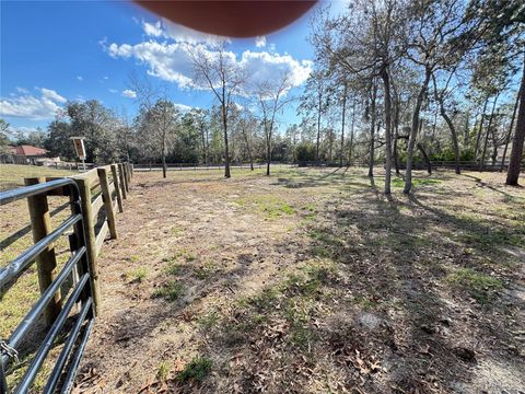 Tiny photo for 4911 N Valley Terrace, Beverly Hills, FL 34465 (MLS # OM720340)