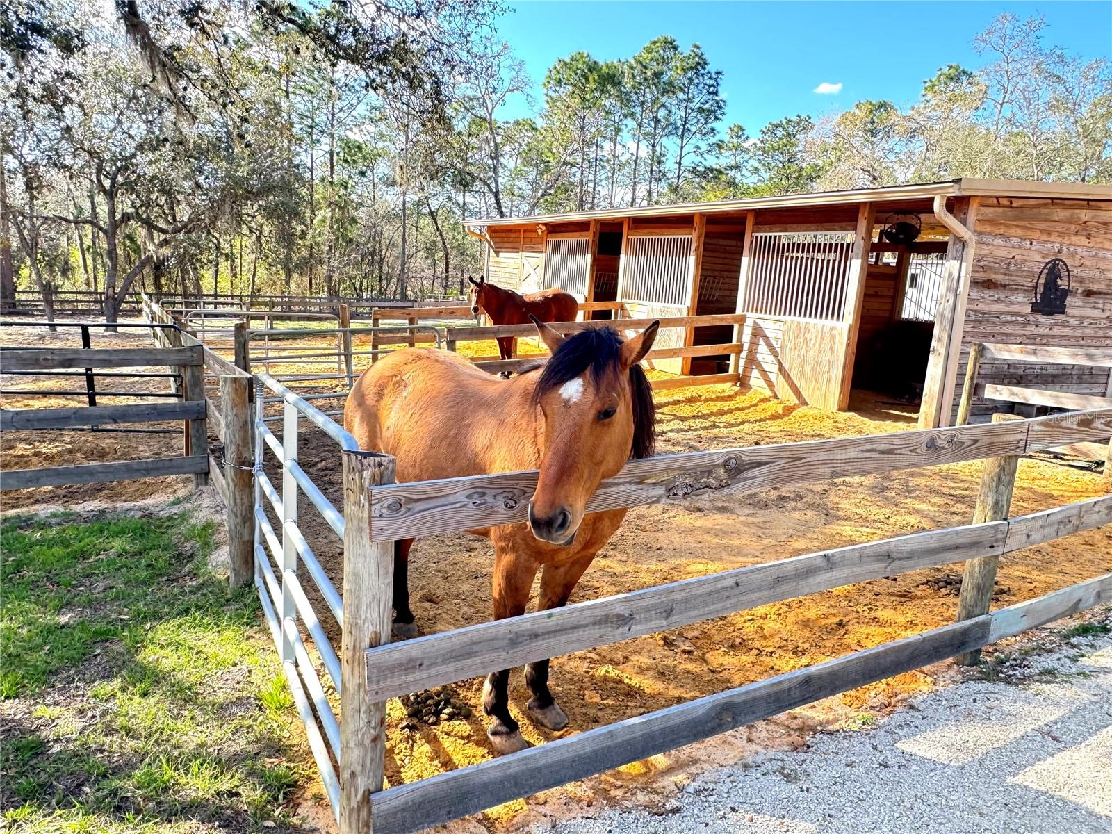PINE RIDGE ESTATES - Residential