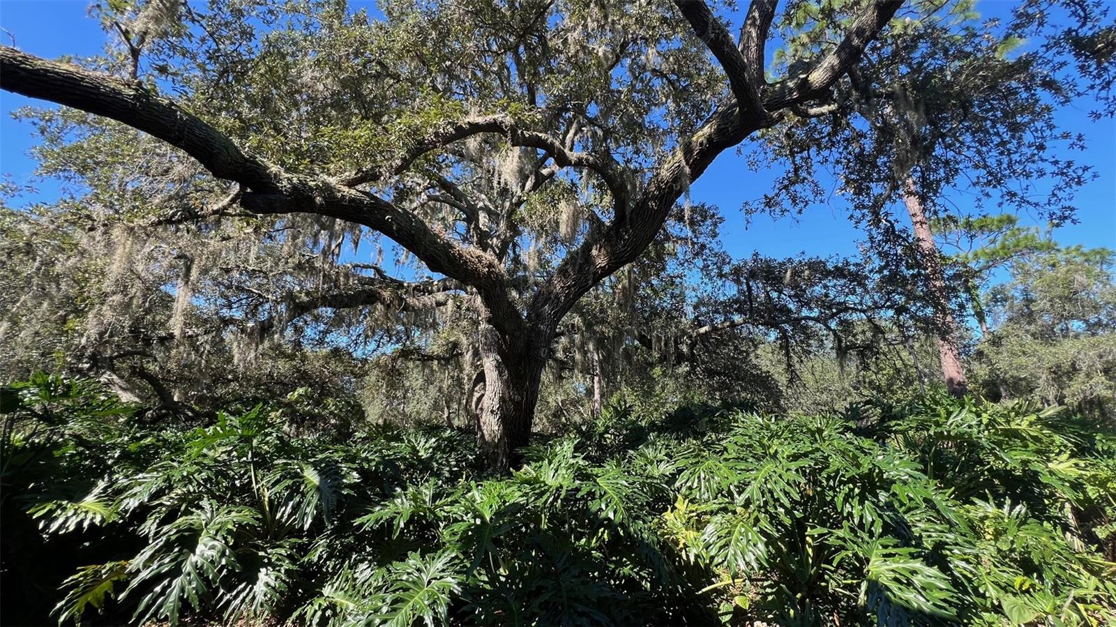 GRENELEFE ABBEY COURT CONDO UNIT 01 PH 0 - Residential