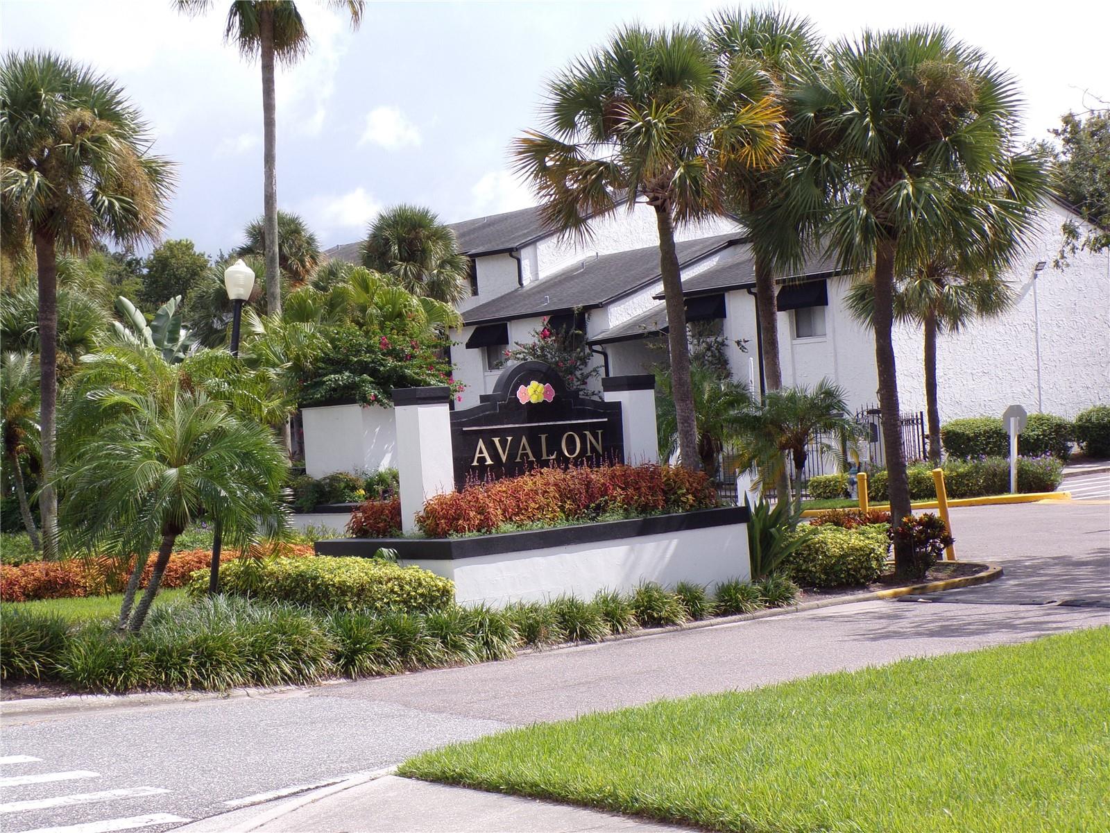 This 3-bedroom, 2-bath bottom floor condo is priced to deliver a strong return on investment. Offered as-is and priced according to current condition, it’s the perfect opportunity to rehab and flip, add to your rental portfolio, or purchase as an affordable DIY live-in property.
Prime Location – Just 2 miles from Orlando International Airport and surrounded by shopping, dining, and entertainment.
Association-maintained exterior – no lawn care, pool maintenance, or gym fees to worry about.
Minimal repairs needed – update to your standards and unlock the value.
Whether you’re seeking your next flip project or a low-cost entry into the Orlando market, this one checks all the boxes.