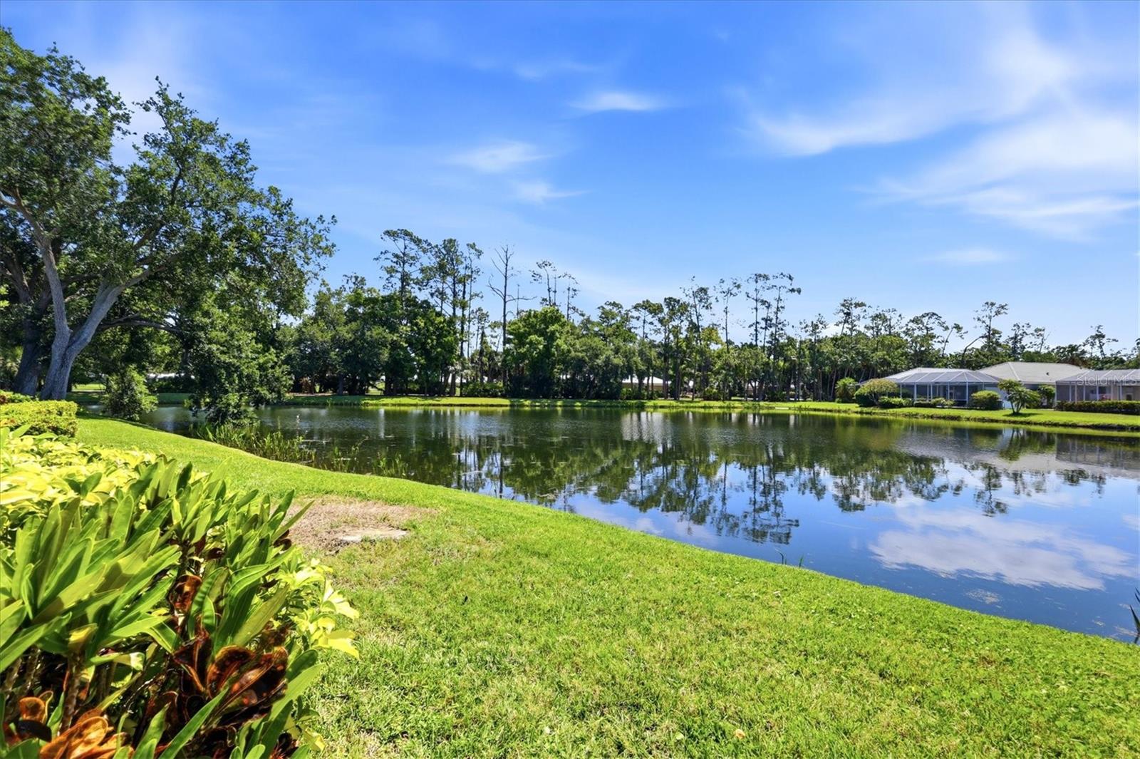 ROSEDALE 8 WESTBURY LAKES - Residential