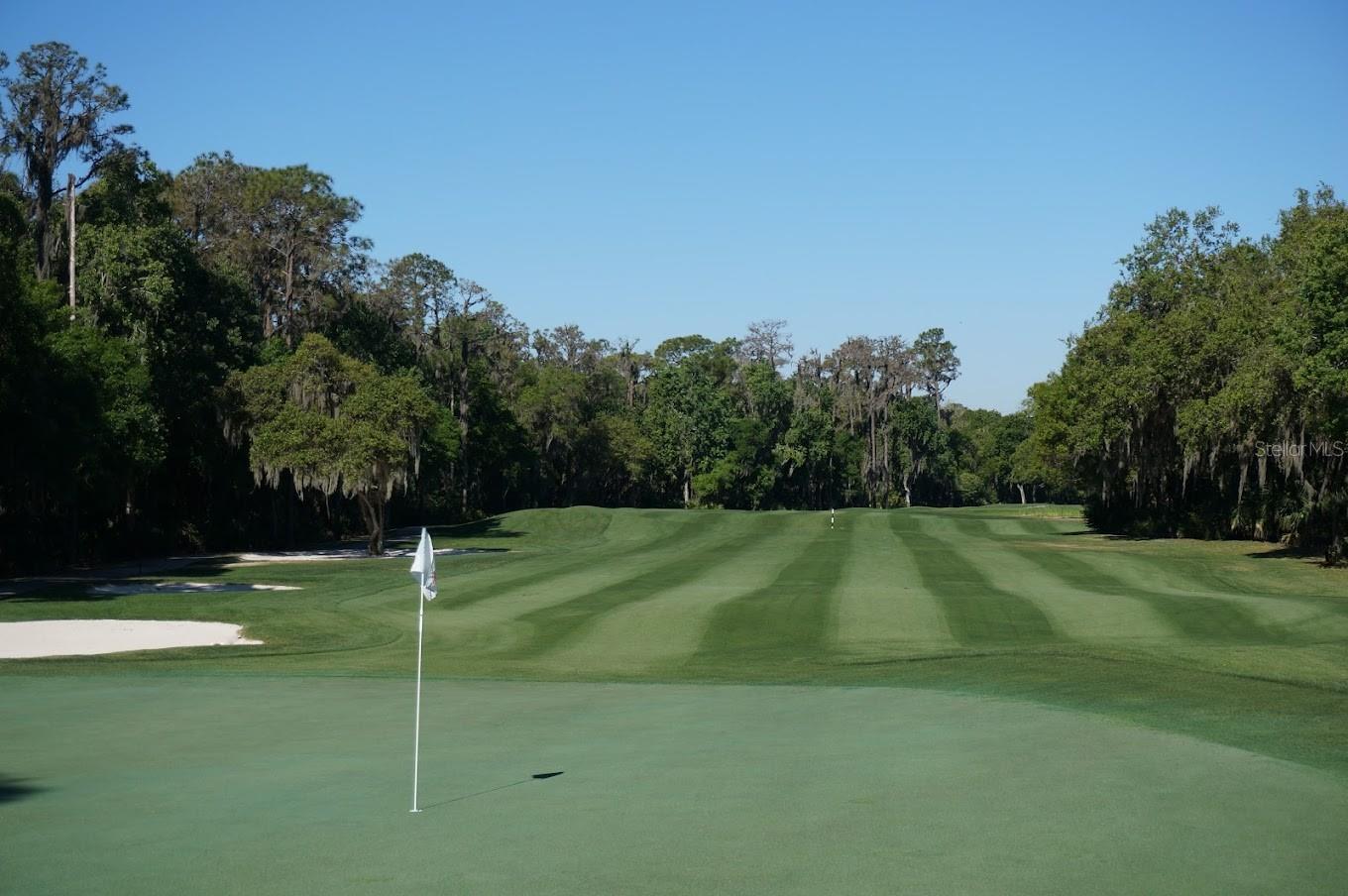 ROSEDALE 8 WESTBURY LAKES - Residential