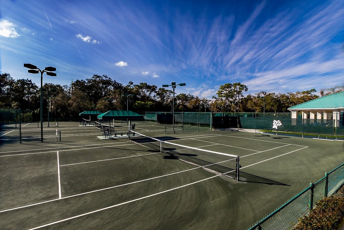 ROSEDALE 8 WESTBURY LAKES - Residential