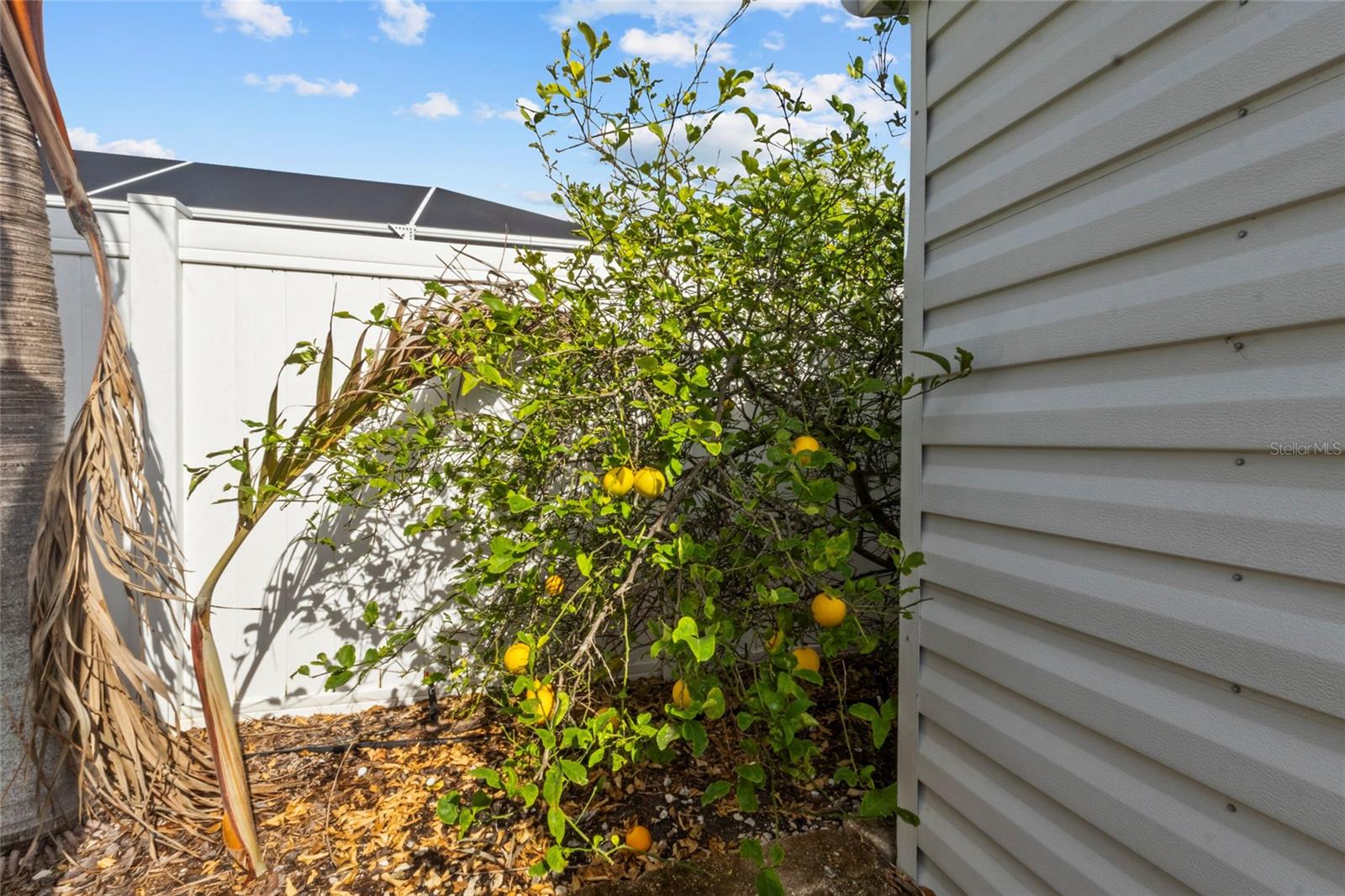 VILLAGE GREEN OF BRADENTON UN F - Residential