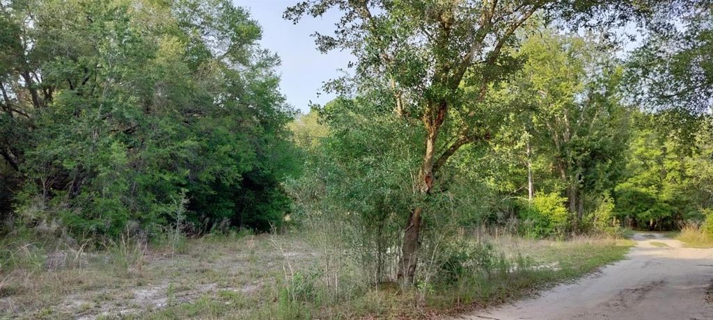 Photo of 2608 Polk Street, Inverness, FL 34453 (MLS # TB8384608)