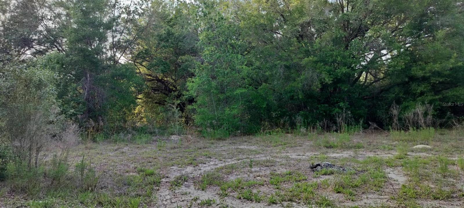 INVERNESS ACRES UNIT 02 AKA INVERNESS VILLAGE - Land