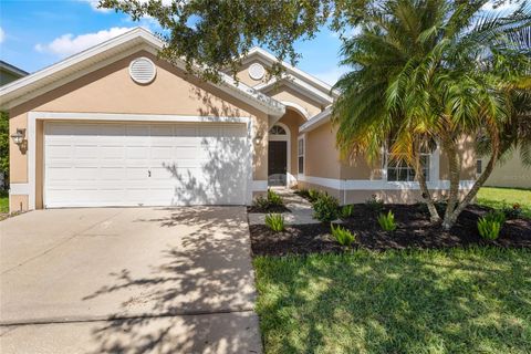 A home in KISSIMMEE