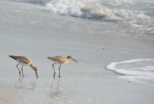 CURLEW LANDINGS SOUTH - Residential