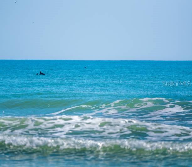 CURLEW LANDINGS SOUTH - Residential