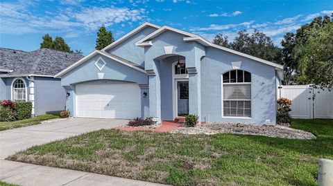 Photo of 25214 Seven Rivers Circle, Land O Lakes, FL 34639 (MLS # TB8422131)