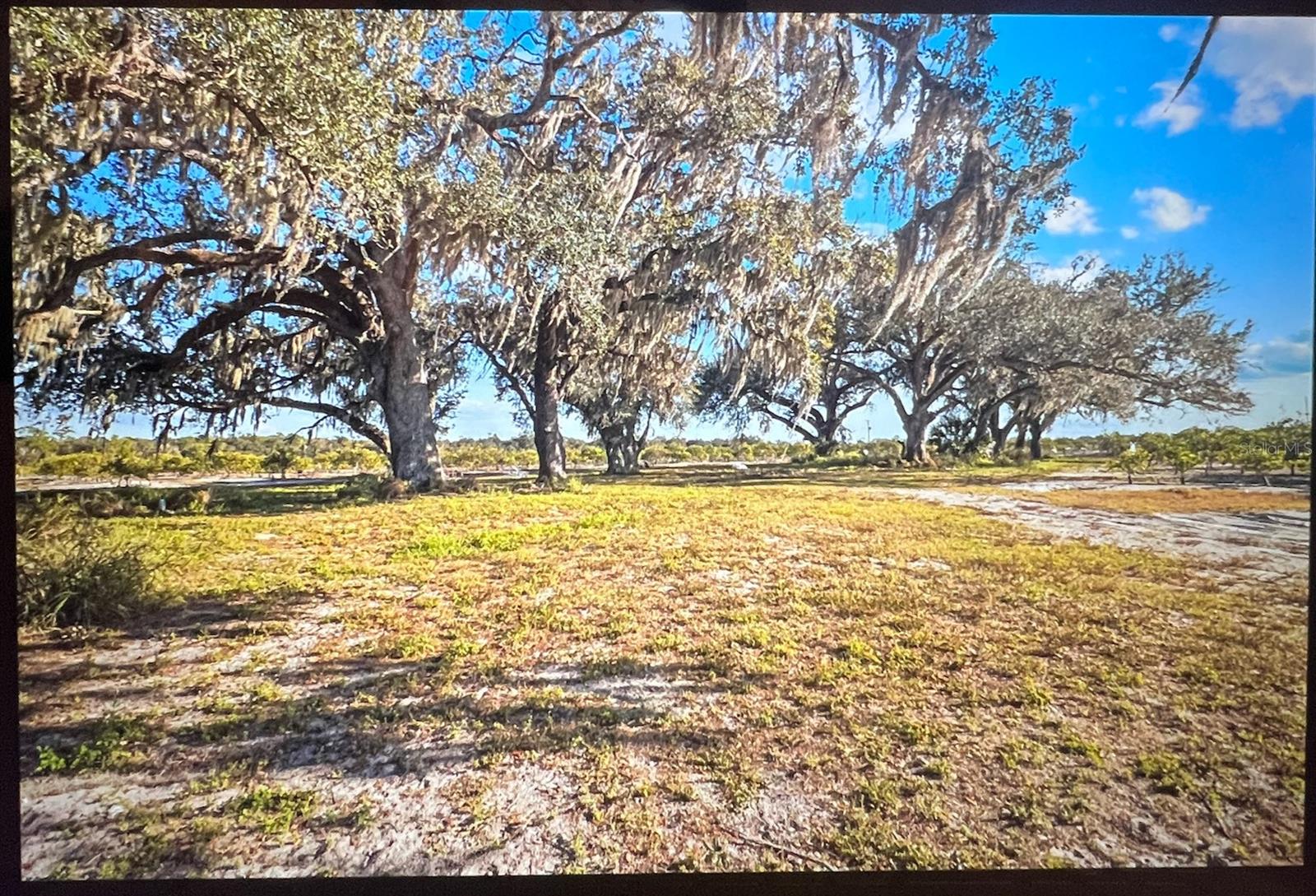 ARCADIA - Residential