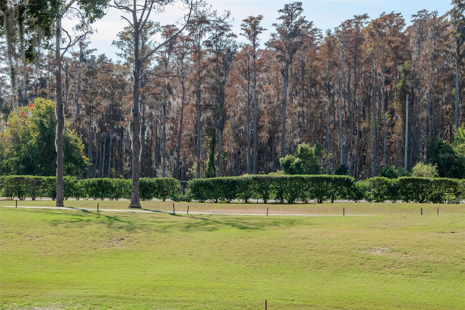 TIMBER GREENS PH 04B - Residential