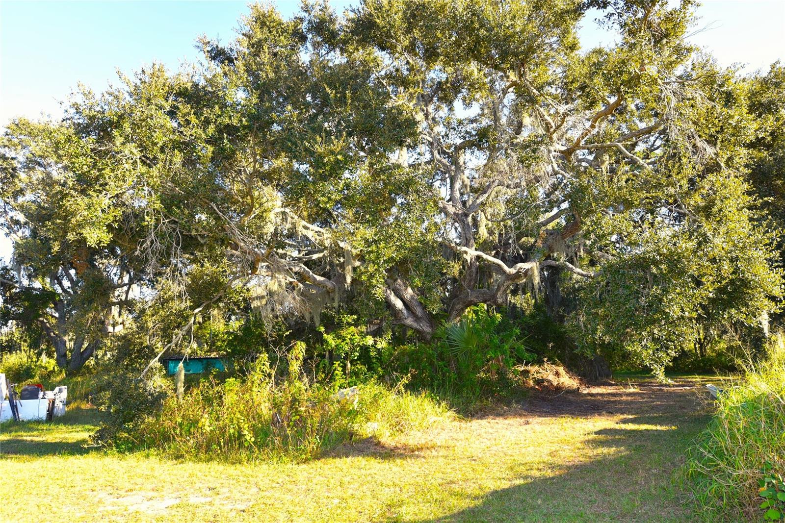 UNPLATTED - Residential