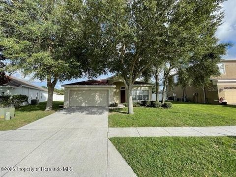 15206 COPPER LOOP BROOKSVILLE FL 34604