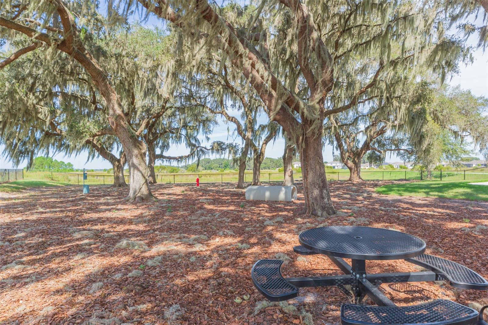 MIRADA PCLS 20 & 22 REP - Residential