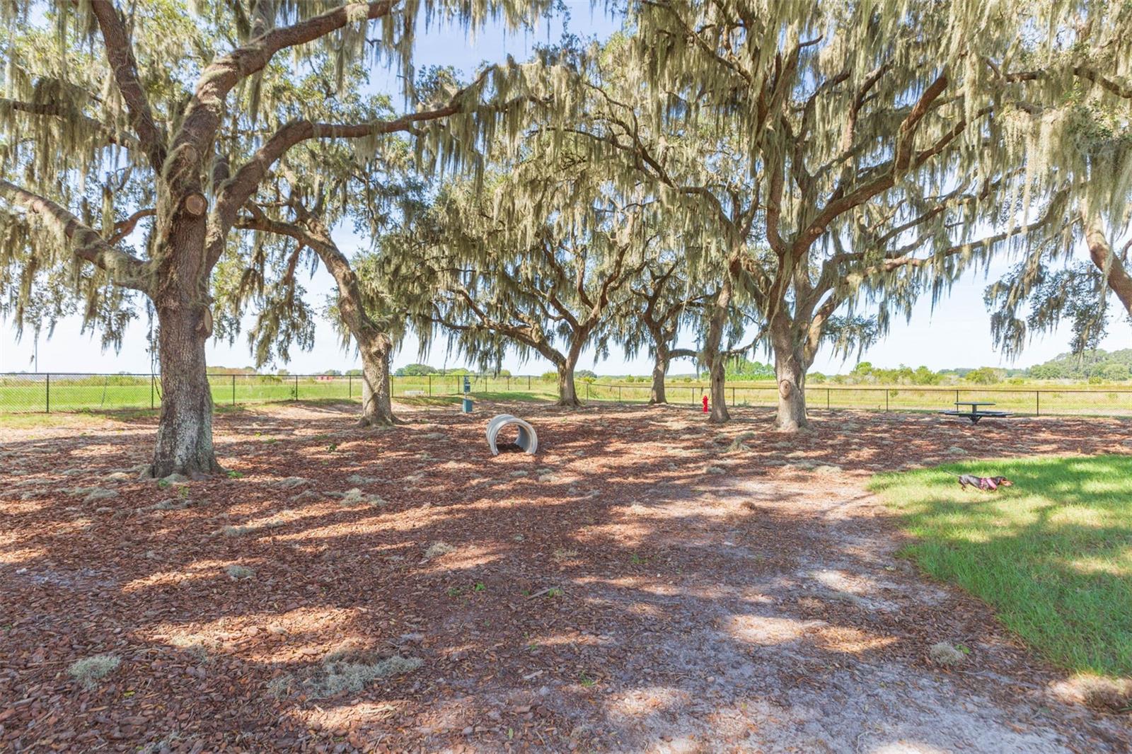 MIRADA PCLS 20 & 22 REP - Residential