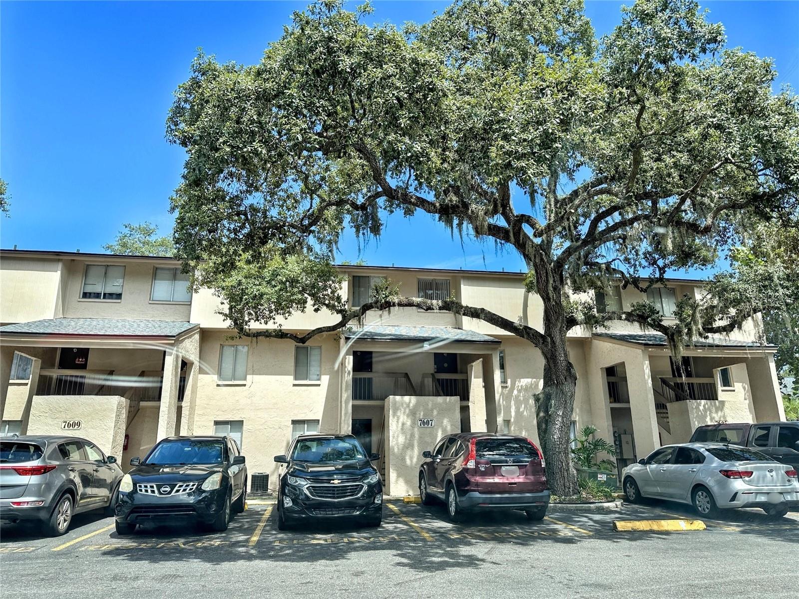 Located on the first floor just steps from the community pool, this updated 1-bedroom, 1-bathroom condo in the gated Place One community is move-in ready. The unit features a fully renovated ADA-compliant bathroom, a newer water heater and HVAC, plus its own private washer and dryer. Inside, the open layout flows to a private screened balcony, while the community offers a new playground, new roofs, and well-kept grounds. Recent updates include fresh interior paint, outlet and lighting upgrades, and a professional deep clean, making it turnkey for buyers and investors alike. HOA fees cover water, sewer, trash, exterior maintenance, and access to amenities including the pool and fitness center. No flood insurance required. Conveniently located just 5 minutes from USF and Busch Gardens, this well-established neighborhood offers long-term residents and a welcoming community atmosphere. A strong rental opportunity with solid ROI potential.