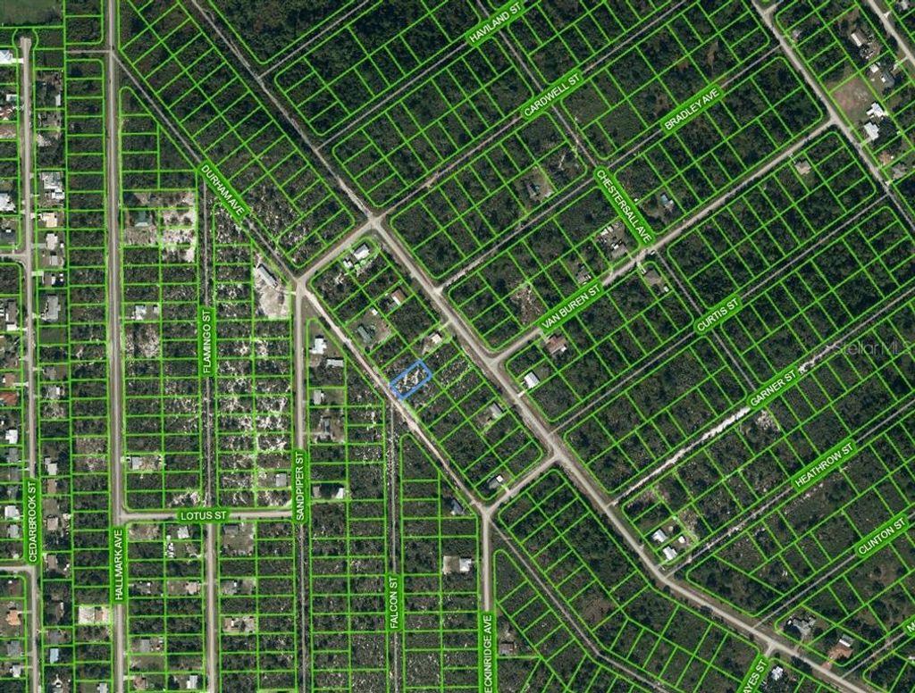 Photo of 417 Durham Avenue, Lake Placid, FL 33852 (MLS # OM625224)