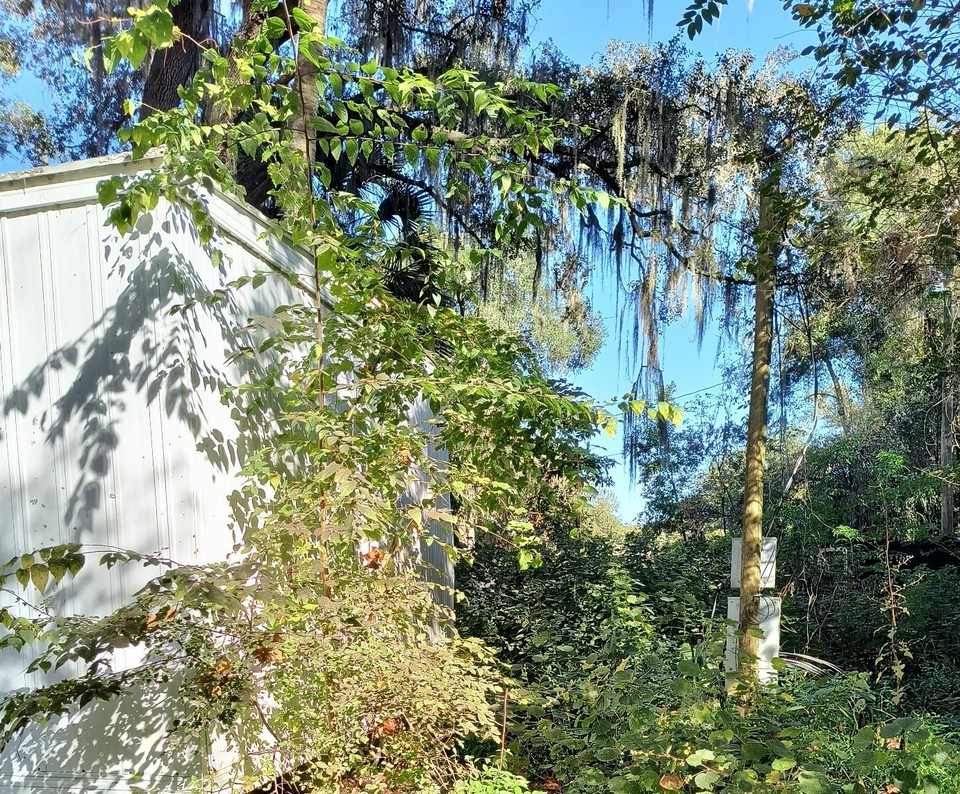 MEADOWS UN 02 - Land