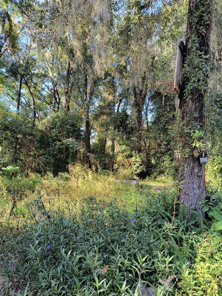 MEADOWS UN 02 - Land