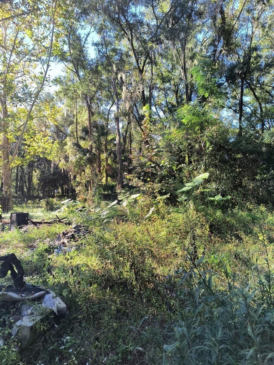 MEADOWS UN 02 - Land