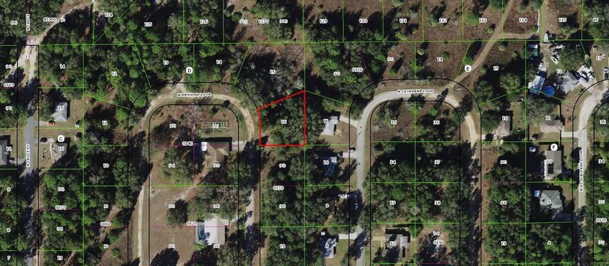 WONDERFUL LOT IN DE ROSA INC.   AFFORDABLE LOT IN CRYSTAL RIVER, POWER, AND HOMES IN AREA.   GREAT VALUE AND CLOSE TO THE TOWN OF CRYSTAL RIVER. HIGH AND DRY.