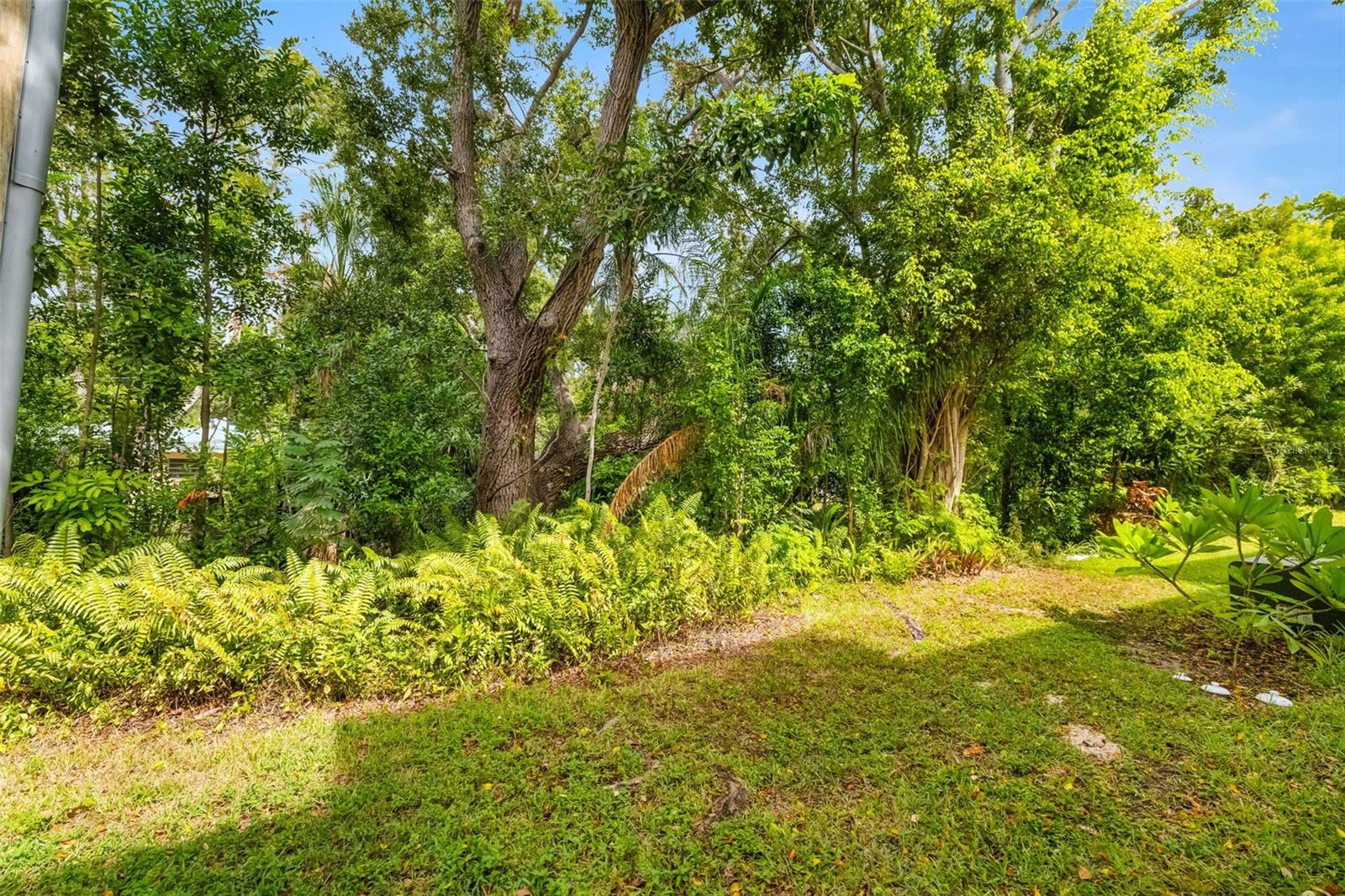 BAYSHORE CONDO - Residential