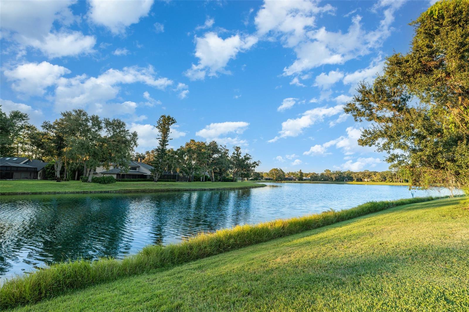 BENT TREE VILLAGE - Residential