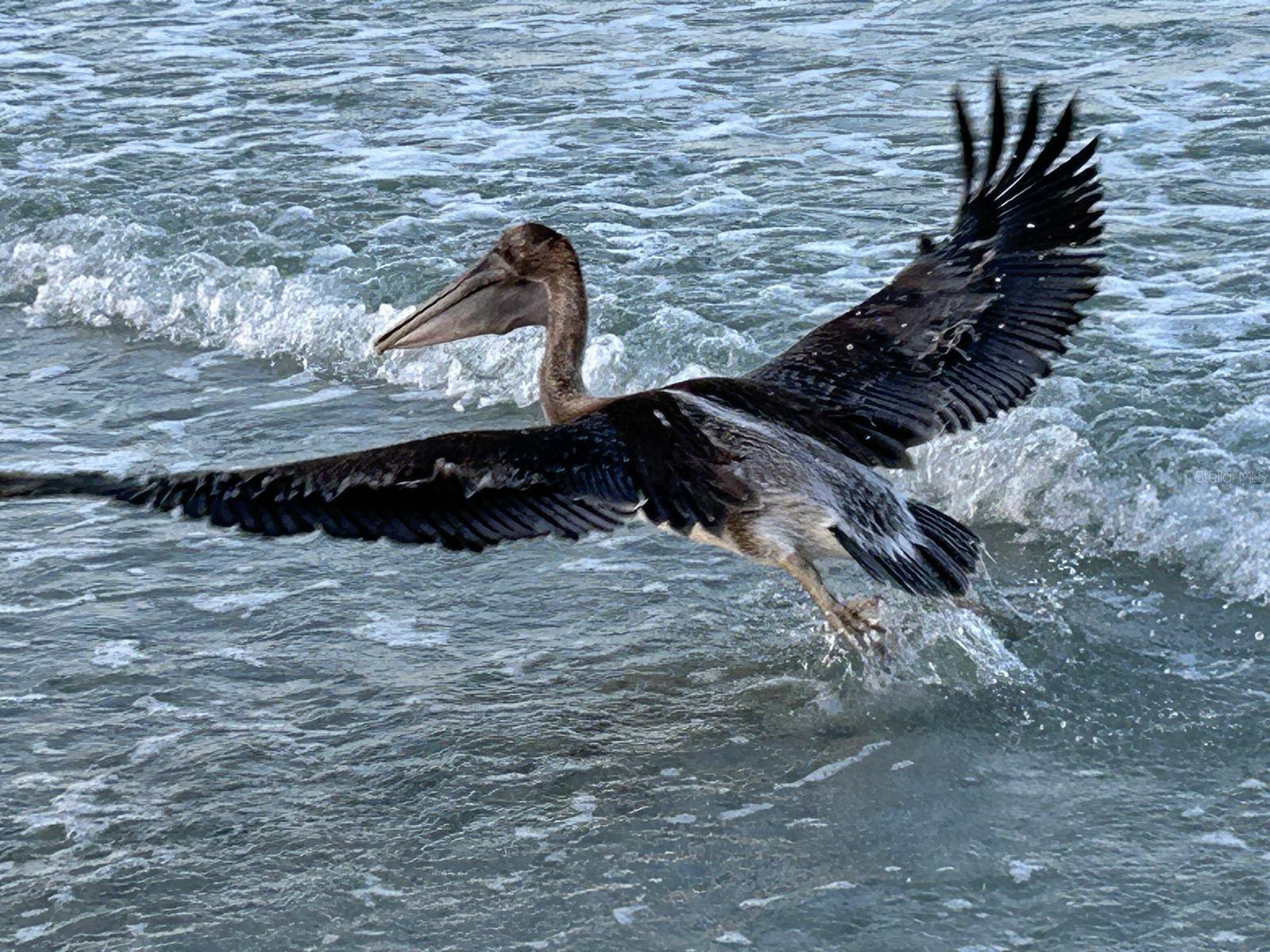 HOLIDAY VILLAS 2 CONDO - Residential