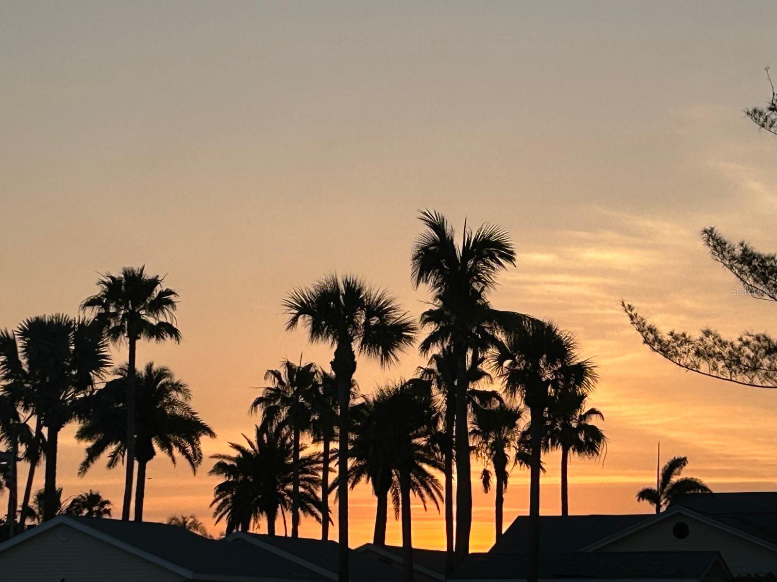 HOLIDAY VILLAS 2 CONDO - Residential