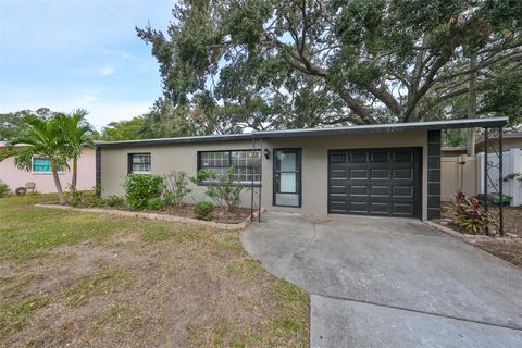 664 FREDERICA LANE DUNEDIN FL 34698