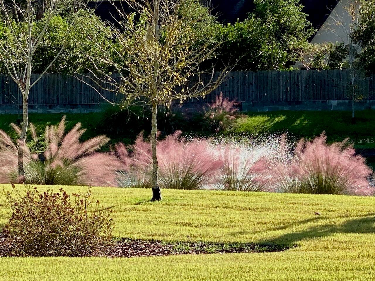 LEXINGTON PLACE - Residential