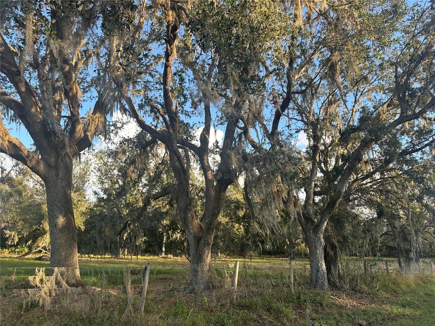 Looking for a piece of Florida close to everything? Build your dream home or barndominium on this secluded, pristine, wooded 5 Acre piece of Florida.  Parcel 8 & 9 are beautiful 5 acre tracks of a 50 Acre track of Property located in rural Hardee County. They are the only 5 acre tracts still available. They have a very small area of flood area on the back side that wildlife seems to enjoy.  Beautiful, stately oak trees, Florida Pine and palmettos flank the property.  Deer, turkey, dove and other wildlife can be found wandering through this property regularly.  These lots are located approximately 2 miles outside the city limits of Wauchula in Central Florida.  Approx hour and half from Ft Myers, Sarasota, Tampa, Orlando without the nightmare of traffic on a regular basis. These beautiful, wooded lots are the only 5 acre lots available from the original platting and there are two 7.5 acre lots....Ref MLS # A4632828 This nice piece of property is deed restricted ..No Mobile Homes..
Of course Barns and animals allowed!