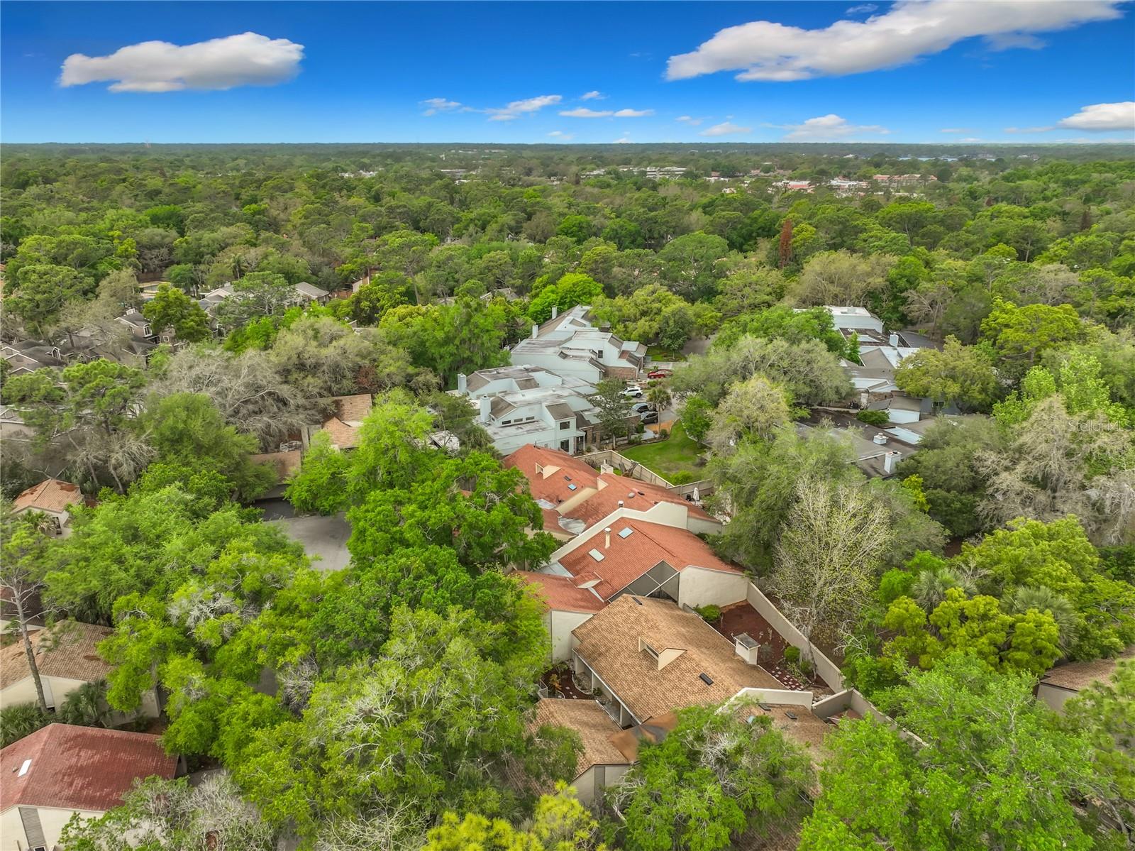 207 WEEPING ELM LANE