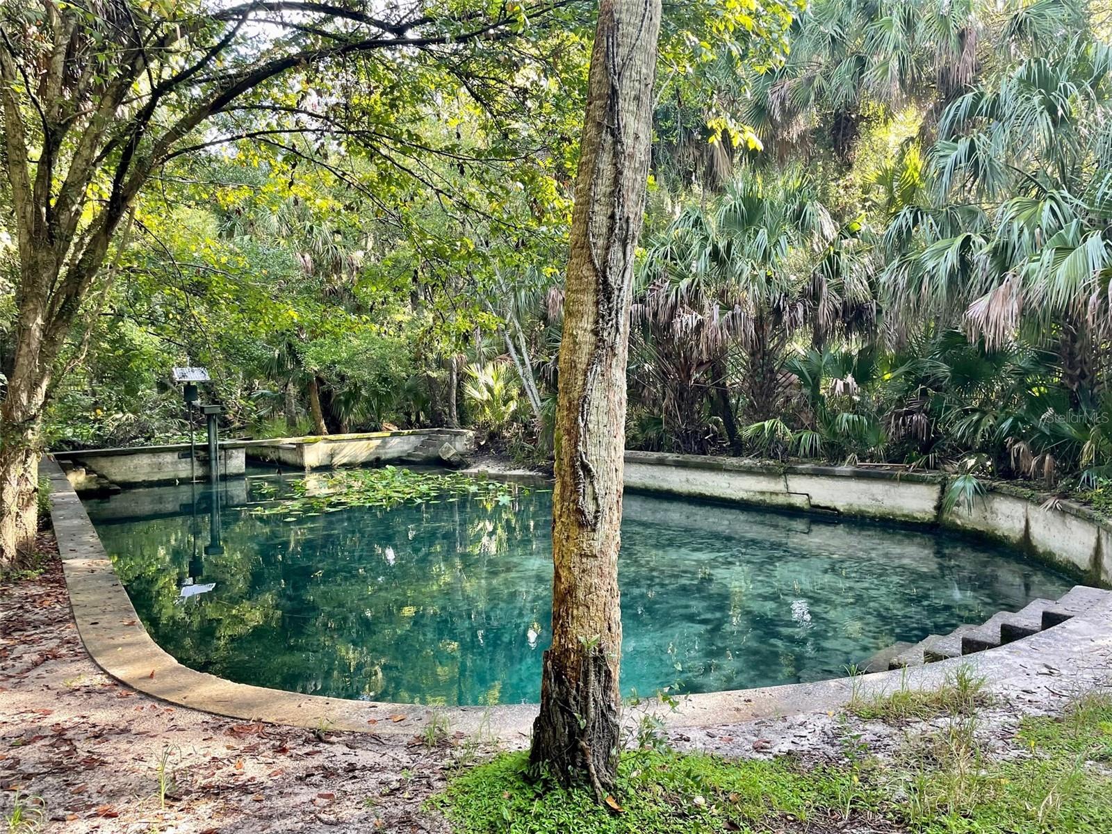 SPRINGS THE SHADOWOOD VILLAGE SEC 2 - Residential