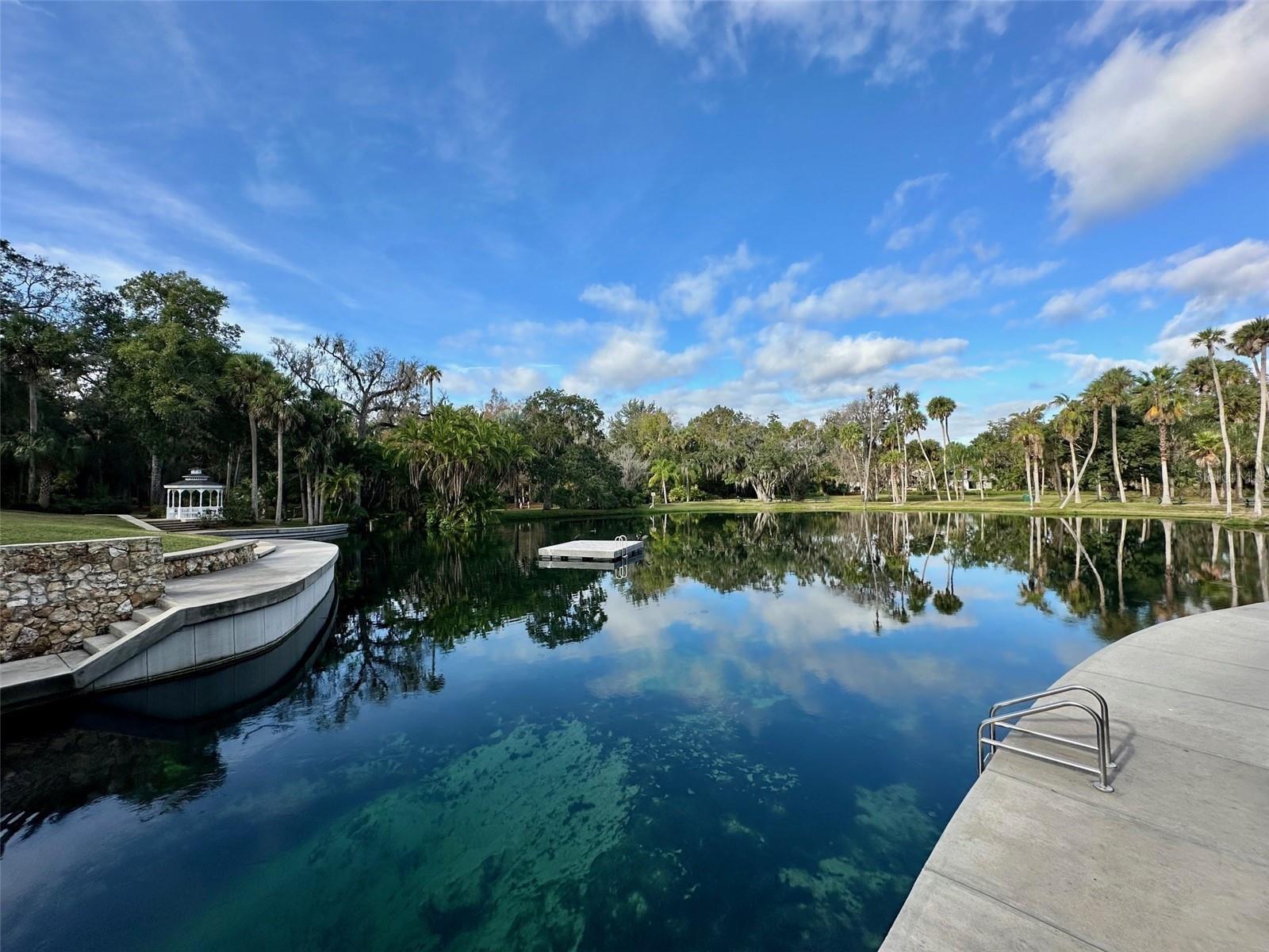 SPRINGS THE SHADOWOOD VILLAGE SEC 2 - Residential