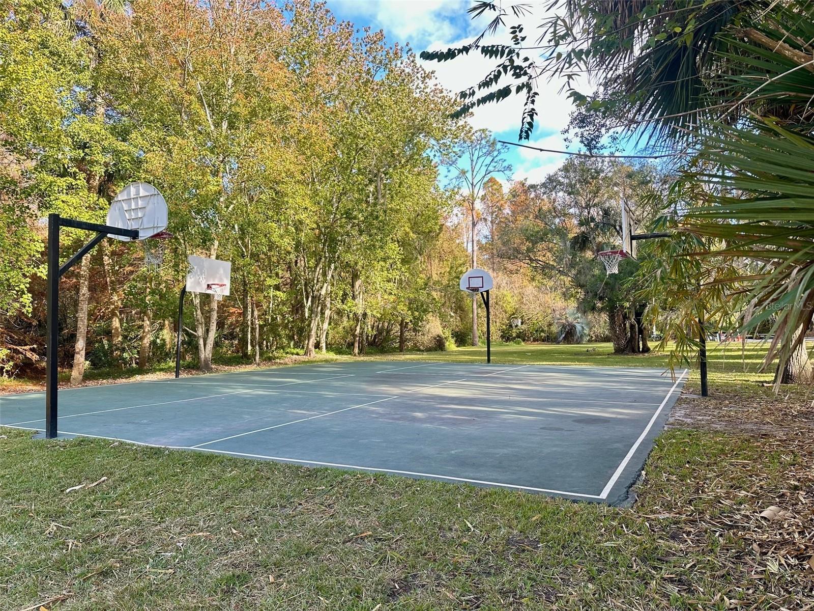 SPRINGS THE SHADOWOOD VILLAGE SEC 2 - Residential