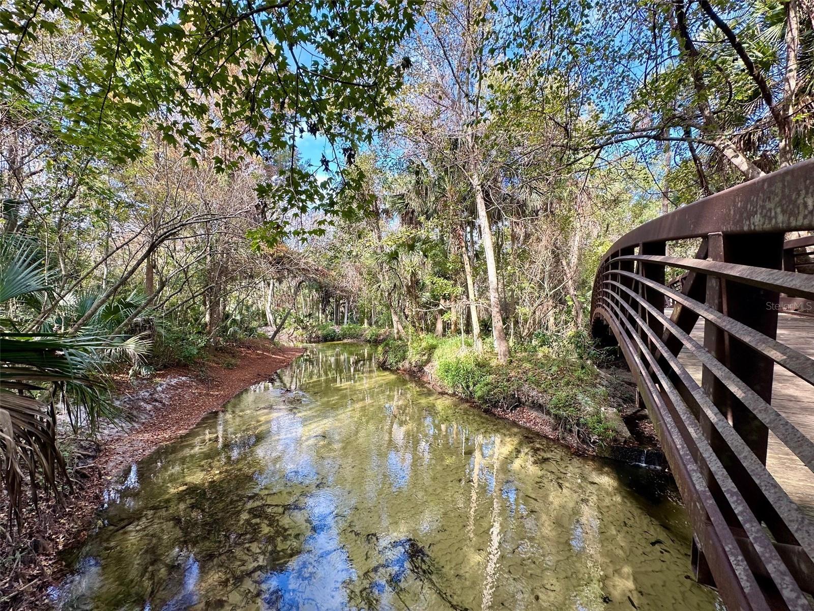 SPRINGS THE SHADOWOOD VILLAGE SEC 2 - Residential