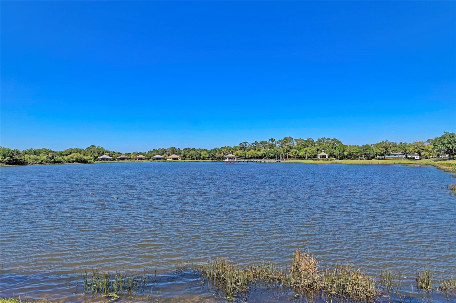 FOREST CREEK FENNEMORE WAY - Residential