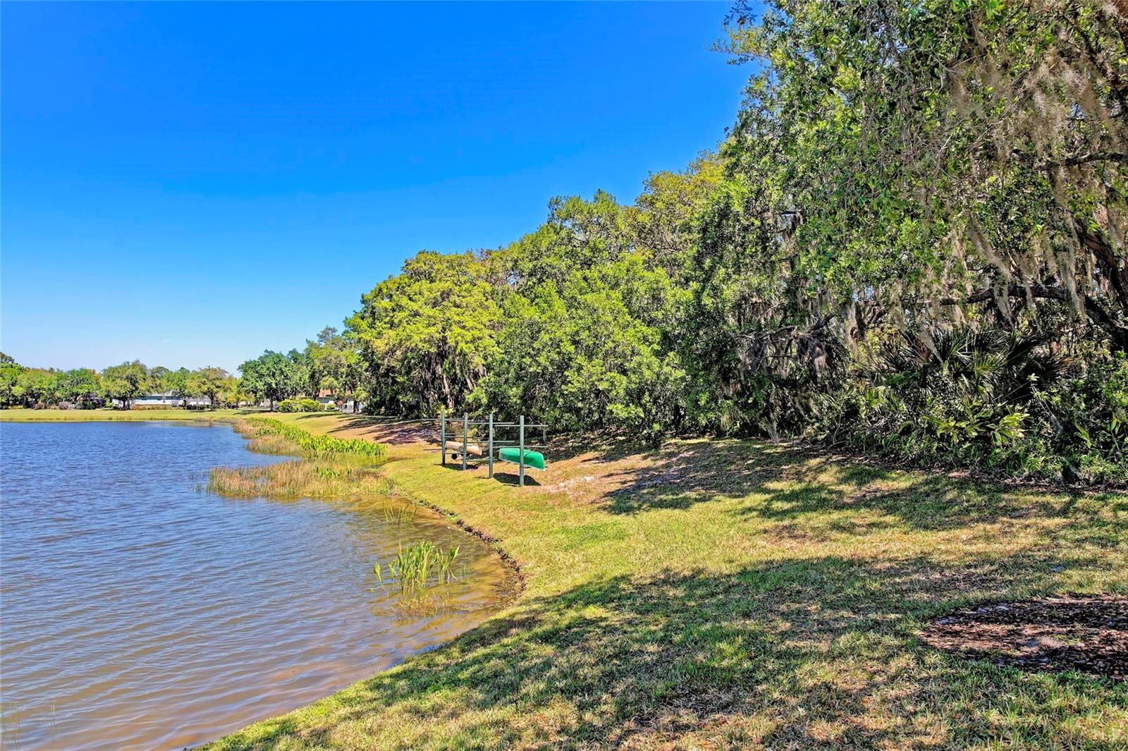FOREST CREEK FENNEMORE WAY - Residential