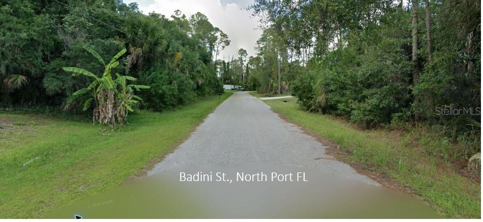 Photo of Badini Street, North Port, FL 34286 (MLS # C7519740)