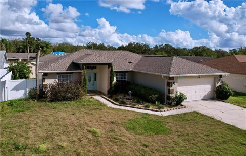 A home in LAKELAND