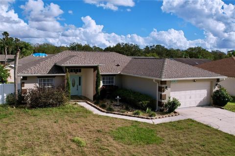 A home in LAKELAND